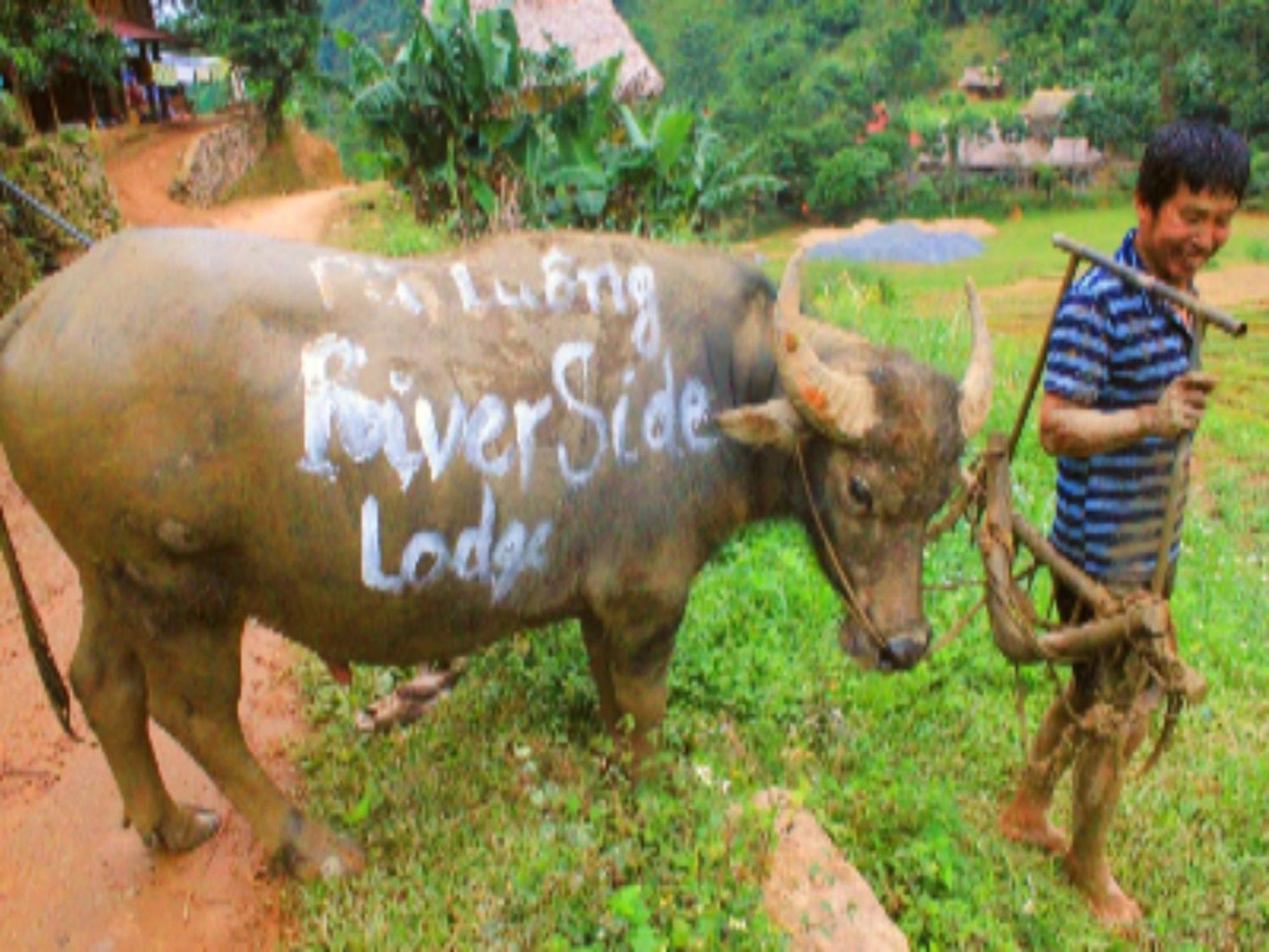 Pu Luong Riverside Lodge Thanh Hóa Dış mekan fotoğraf