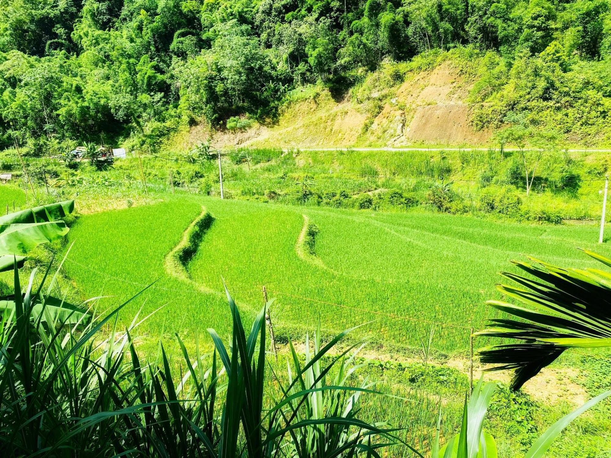 Pu Luong Riverside Lodge Thanh Hóa Dış mekan fotoğraf